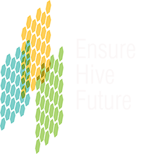 Ensure Hive Future Logo